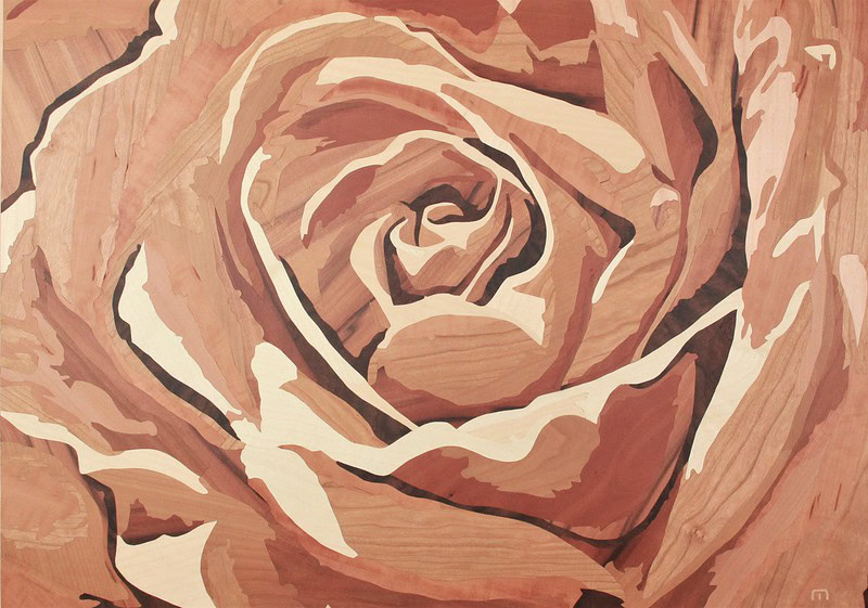 Rosenblüte