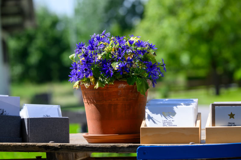 Offenes Sommeratelier am 31.05.2025