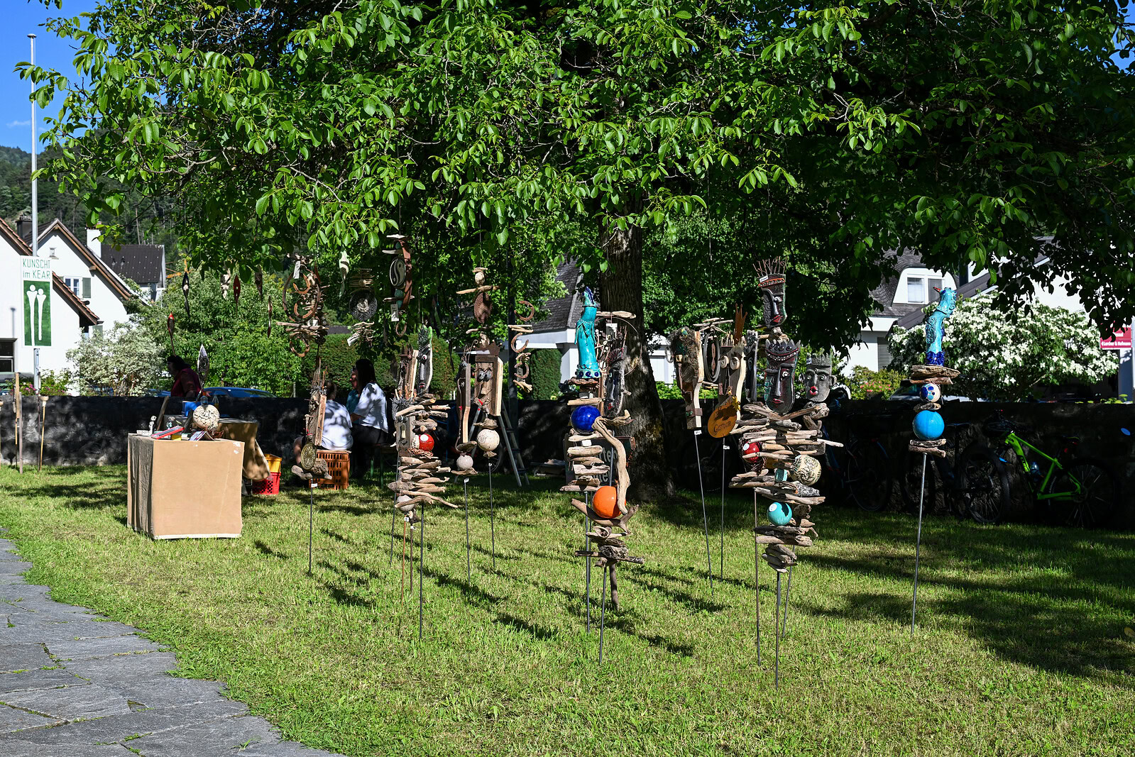 dsc 0704